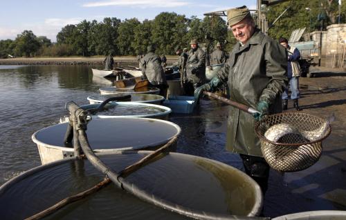 Golfový areál je od 26.11.2014 uzavřen z důvodu výlovu rybníku