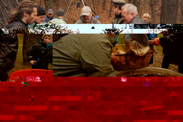 Výlov rybníku 26.11. od 9 hod
